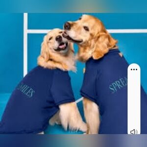 Dog, spread smiles cuddle colab sweatshirt, size xl, NEW WITH TAGS!!!